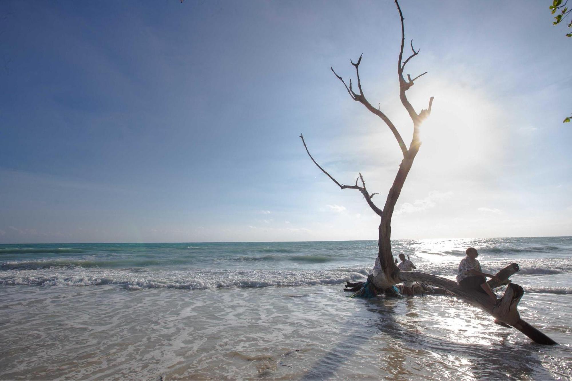 Coral Reef Resort & Spa, Havelock Vijay Nagar Beach Экстерьер фото