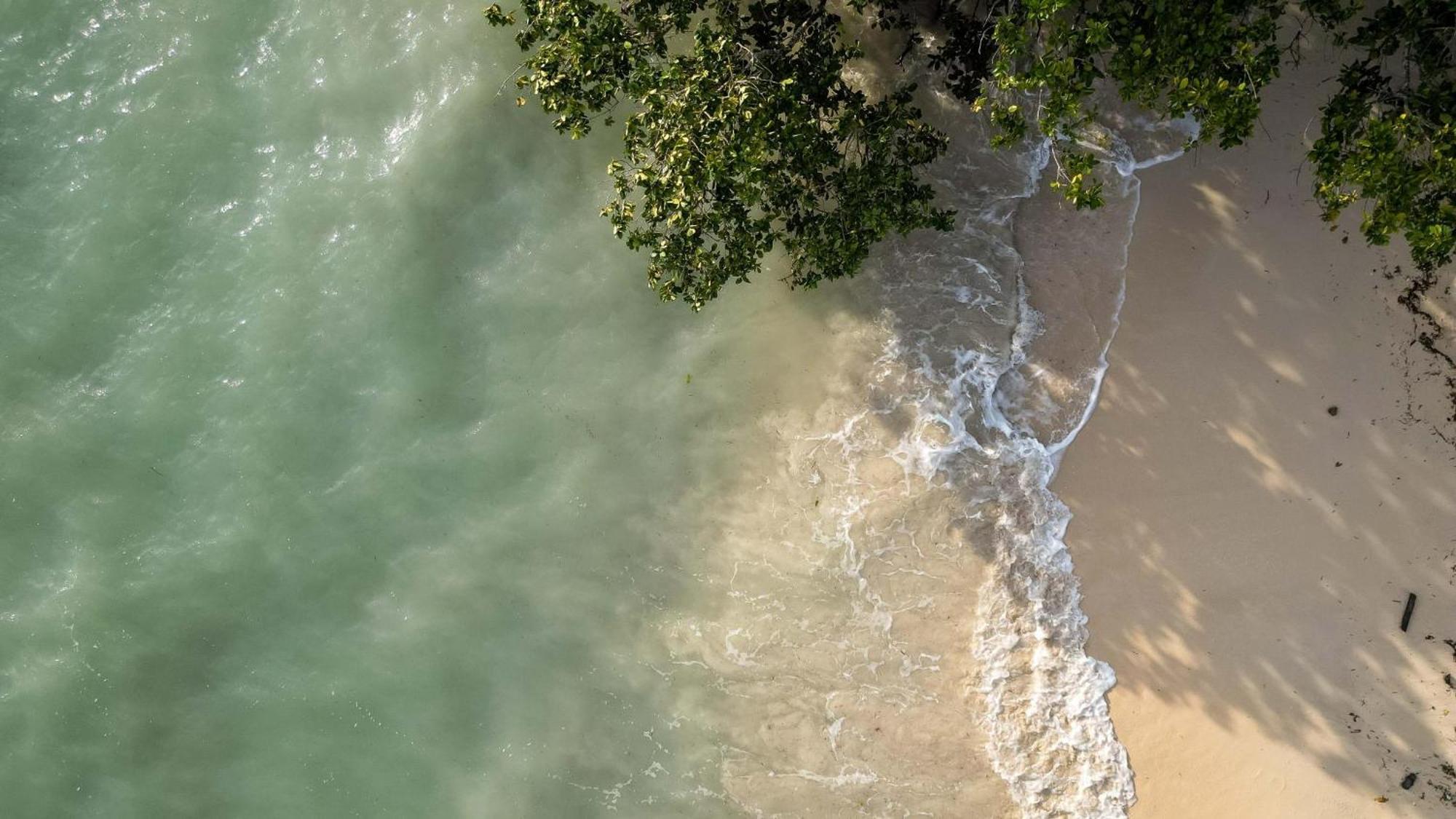 Coral Reef Resort & Spa, Havelock Vijay Nagar Beach Экстерьер фото